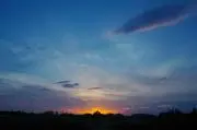 Stellaの画像