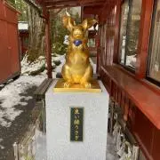 ケチャの画像
