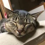 なぎ