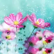 Nico♡⃛︎