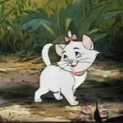 aの画像