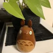 まゆの画像