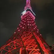 ソレイユ(次回発送5／7から)の画像
