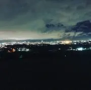 鼬の画像