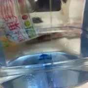 新田