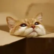 えむちゃん
