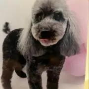 くまよ