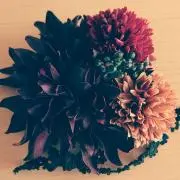 花冠の画像