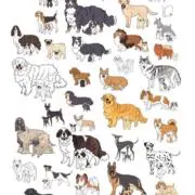 nekoの画像