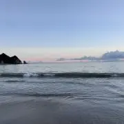 Bishopの画像