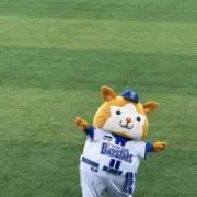 timgonの画像