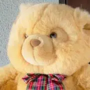 ♪ プロフご確認くださいの画像