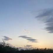 GEALセレクトショップの画像