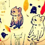 なちこ
