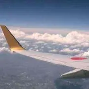 じーまの画像