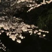 いろはにの画像