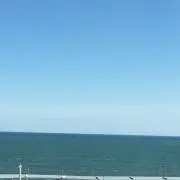 プロフ必読→返品交換不可の画像