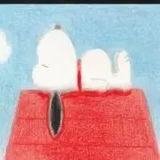 彩の画像