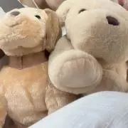 ホンジスhrnの画像