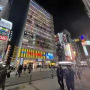 ドリロコスの画像