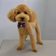 福