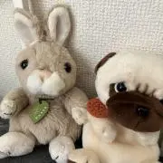 ひろの画像