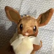 もちこ プロフ必読☆