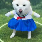 あげぱん
