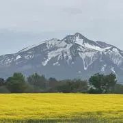 エイクレスの画像
