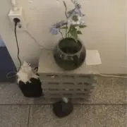 りの画像