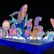 ひろの画像