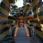 フカマルの画像