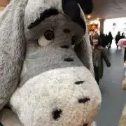 ゆぅの画像