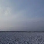 おもち