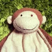 ちゃき