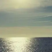 黒