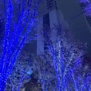 scaの画像