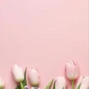 即日発送・nico☺︎の画像