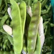 農家産地直送 （果物野菜）の画像