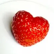 まりもの画像