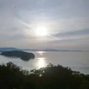 森田の画像