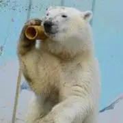 タルト