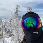 佐井の画像