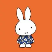 こむぎの画像