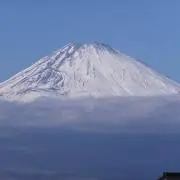 Yujiの画像