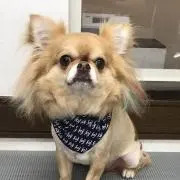 あーたん♡