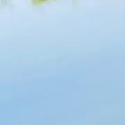 aoiちゃん