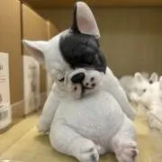 KIKO☆の画像