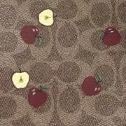 アイの画像