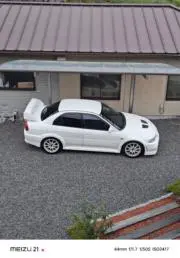 ミントの画像